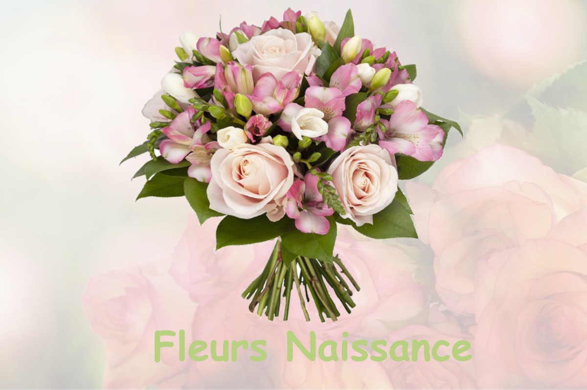 fleurs naissance PASSY-SUR-SEINE